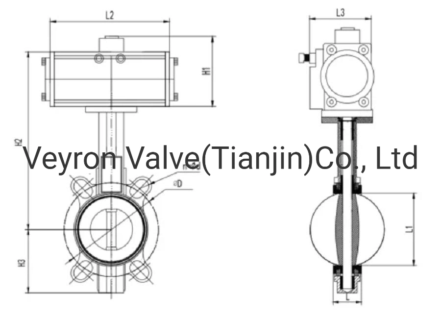 DN40 Pn16 ANSI150 API609 ISO Ductile Iron Butterfly Valve Center Stem Wafer Lug Type with Handle Lever